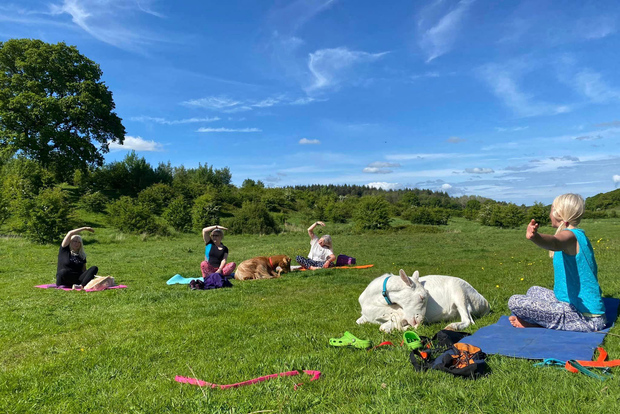 Canterbury: yoga con capre e pecore