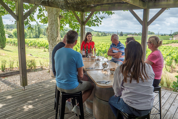 Von Bordeaux aus: Tagesausflug nach St-Emilion mit Verkostungen und Mittagessen