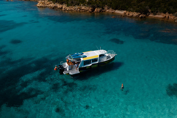 Porto Vecchio: Boat Tour to Maddalena Archipelago (Sardinia)