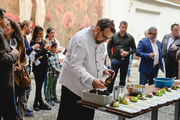 Tour privato Meraviglie del sottosuolo e delizie dei vigneti