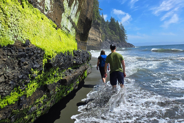 Ostküste zur Westküste Big Tree Coastal Adventure