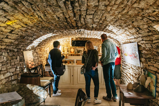 从博纳出发勃艮第一日游,品尝 14 款葡萄酒
