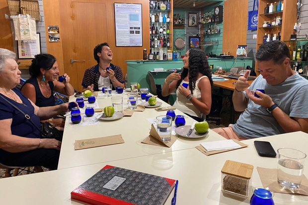 Olive Oil Tour & Tasting in Kalamata, Messinia, Greece