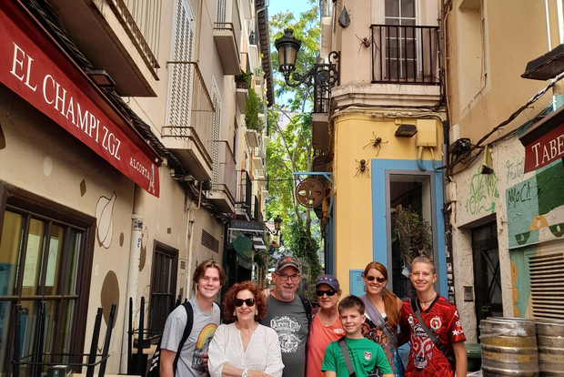 Saragozza: tour privato a piedi con una guida locale