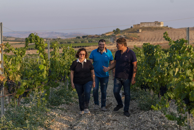 Tasting of EVO Wines and Oil in the countryside of Agrigento