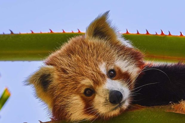 Selwo Aventura: Entrébiljett med skip-the-line Access