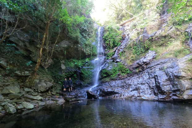 Okinawa: Sentieri nella giungla e cascate Privato in lingua inglese