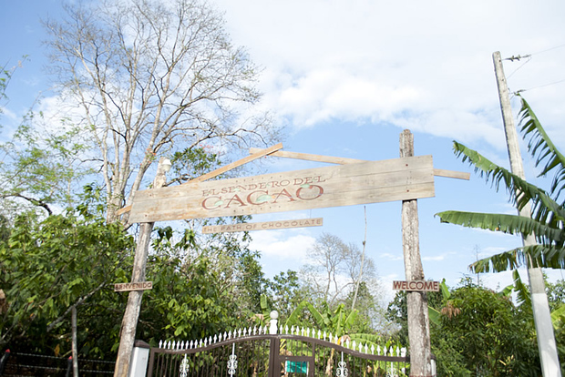 Repubblica Dominicana: Tour di 3 ore per gli amanti del cioccolato