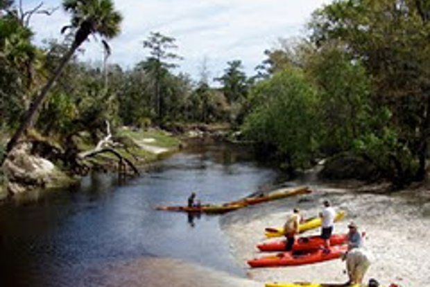 Orlando Alligator Experience: Day-Trip From Orlando