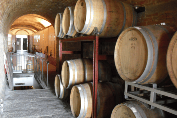 From Livorno: Pisa and Florence Private Shore Excursion