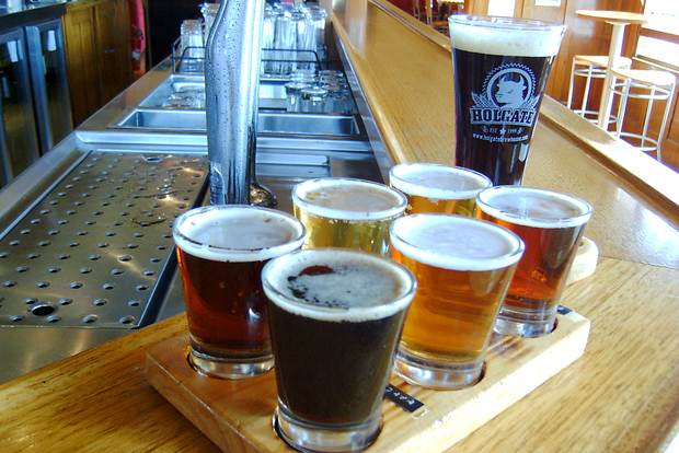 Melbourne: Full-Day Horses, Wine, and Beer Tour