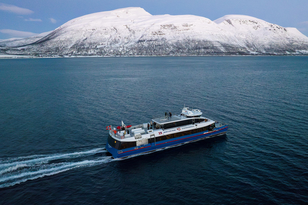 Da Tromsø: Safari per l'osservazione delle balene su un catamarano ad alta velocità