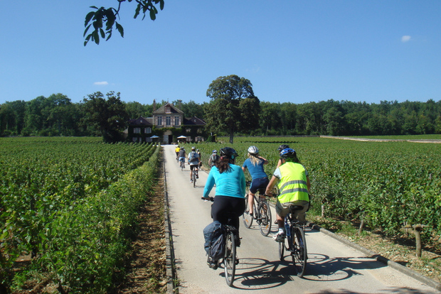 从博讷出发:勃艮第全日自行车和葡萄酒之旅