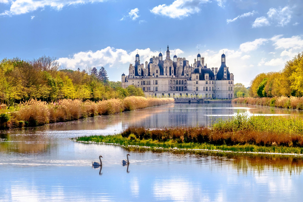 Da Parigi: Escursione di un giorno ai castelli della Valle della Loira con degustazione di vini