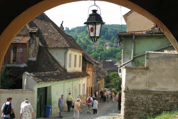 Il castello di Dracula e Sighisoara: tour di 2 giorni da Bucarest