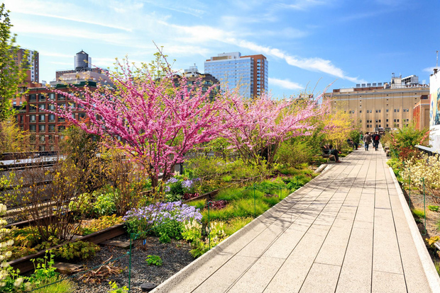 Tour privato di High Line, Chelsea, Hudson Yards e Edge