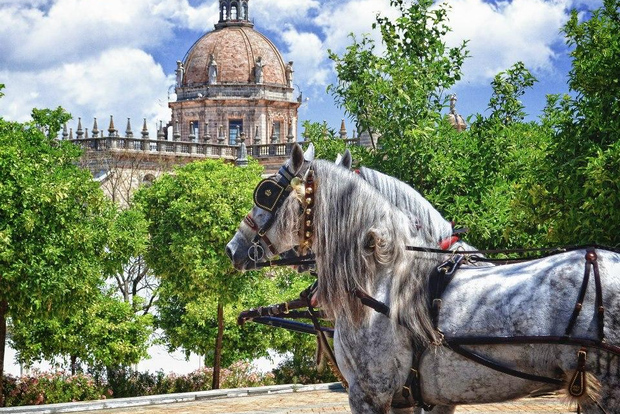 Jerez: Historiskt centrum Tour