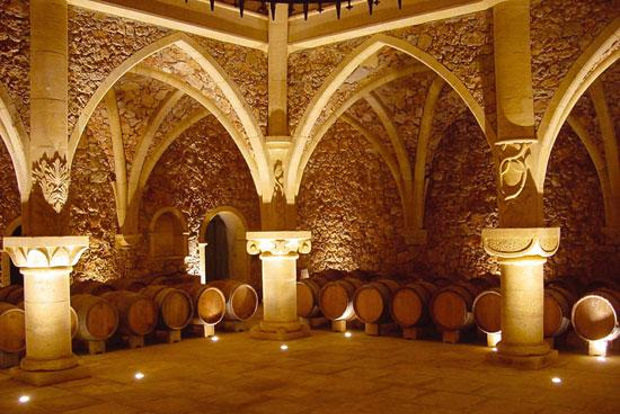 Costa Azzurra: Tour del vino provenzale