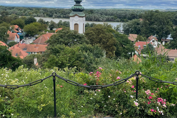 Da Budapest: tour guidato privato di Szentendre in auto