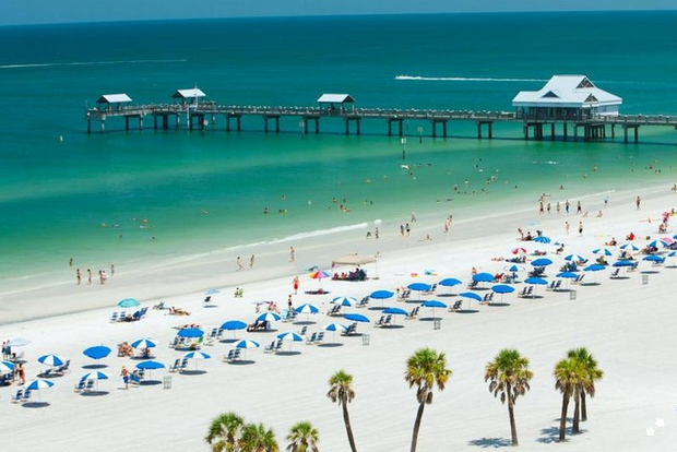 Desde Orlando: Clearwater Beach y entrada a Marine Aquarium