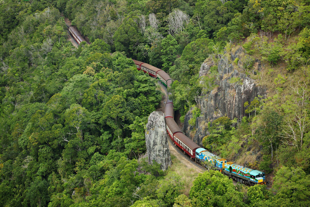 N. Queenslanad: Tagestour durch den Regenwald von Kuranda