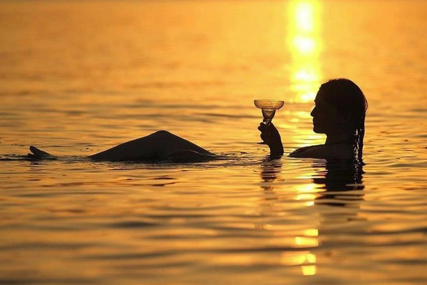 Tour panoramico di Wadi Al Mujib e del Mar Morto da Aqaba
