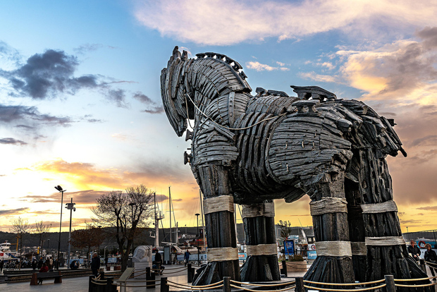 Troia: Tour di un giorno da Istanbul