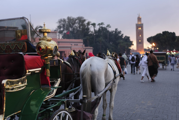 Tour guidato di Marrakech di un giorno intero con pranzo
