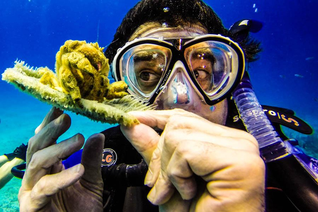 Tour subacqueo dell'Isola di Catalina da Punta Cana
