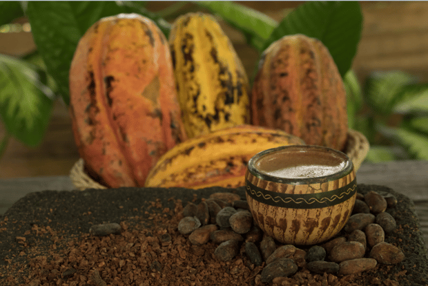 Combo di gommone sul vulcano Arenal e tour del cioccolato