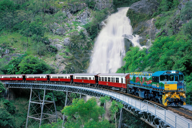 Von Port Douglas aus: Kuranda über Scenic Rail oder Skyrail Option