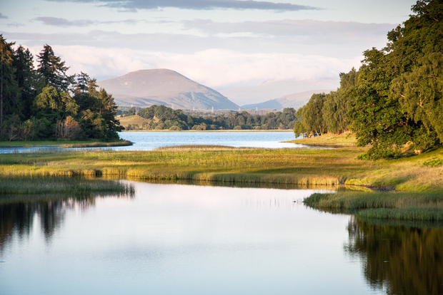 From Inverness: Cairngorms National Park and Whisky Tour