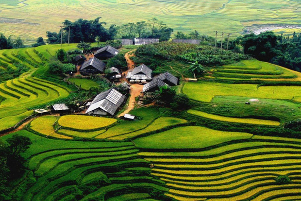 Au départ de Hanoi : excursion de 3 jours à Sapa en moyenne randonnée et en limousine