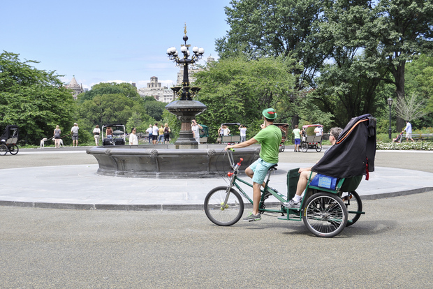 New York City: Tour privato in Pedicab di Central Park