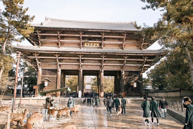 Nara: tour privato a piedi con una guida locale
