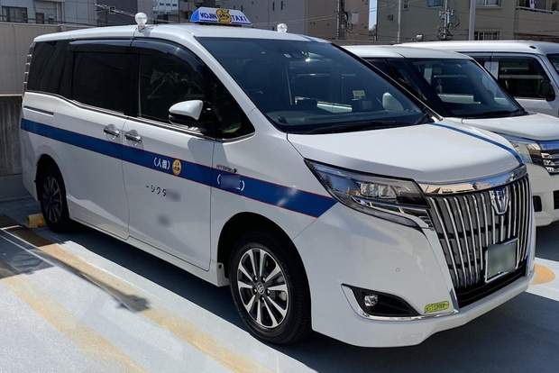 Trasferimento con un furgone navetta di sola andata, Tokyo ⇔ Hakone