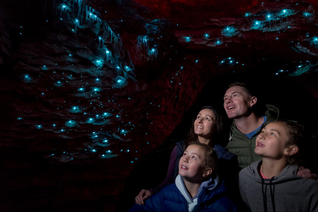 Te Anau: tour guidato delle grotte di Glowworm