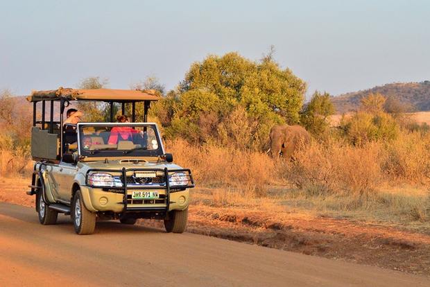 Pilanesbergs heldagssafari med delad tur med besök i Sun City