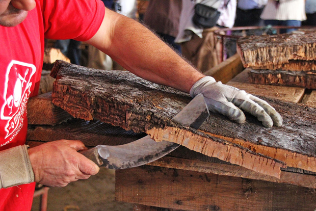 Visita a la fábrica de corcho
