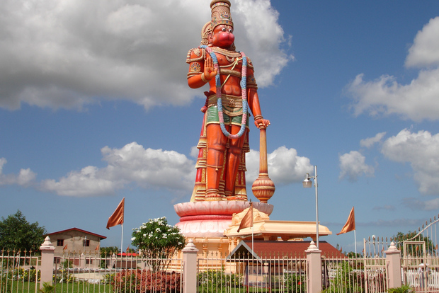 Trinidad: minigira de medio día desde Puerto España