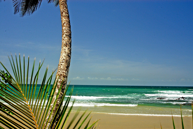 Puerto España: Recorrido costero por Trinidad