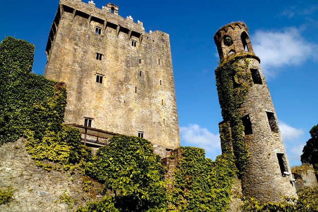 Tour di un giorno intero del Castello di Blarney da Dublino