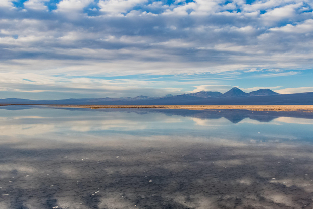 Piedras Rojas, Altiplanics Lagoons & Salar Full-Day Tour