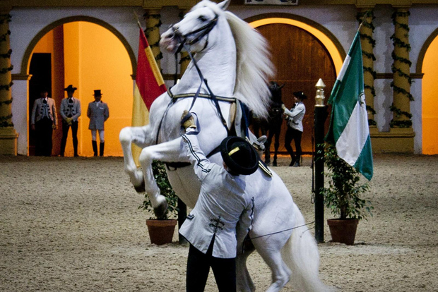 Sevilla, Spanien: Jerez, Cadiz Vinprovning med valfri hästshow