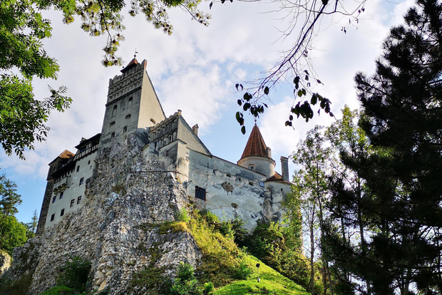 From Bucharest: Dracula Castle Day Trip