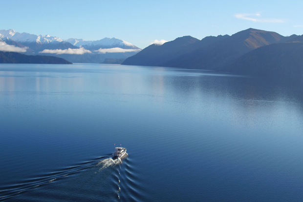 Crucero de 2 horas por la Isla Stevensons y Paseo por la Naturaleza