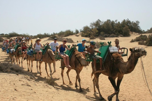 Gran Canaria: paseo en camello por las dunas de Maspalomas