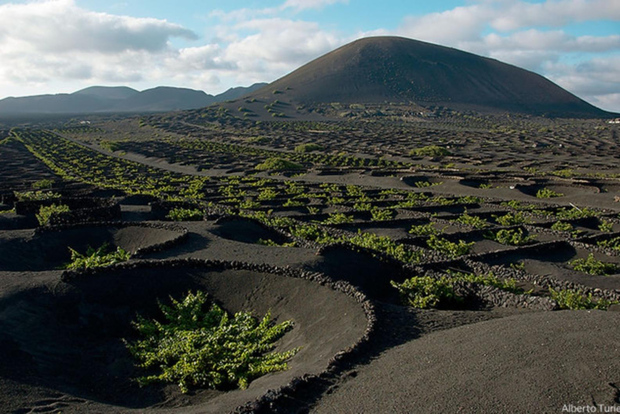Lanzarote: tour in autobus di un giorno con viste panoramiche