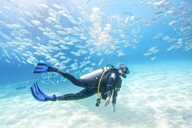 Dubai: Corso PADI Basic Scuba Diving