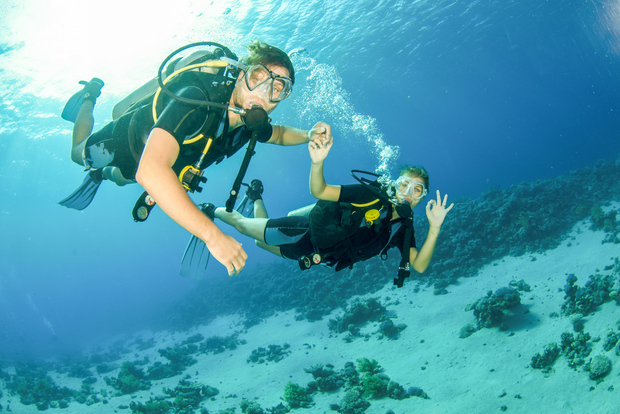 Da Dubai: immersioni subacquee e snorkeling di mezza giornata a Fujairah
